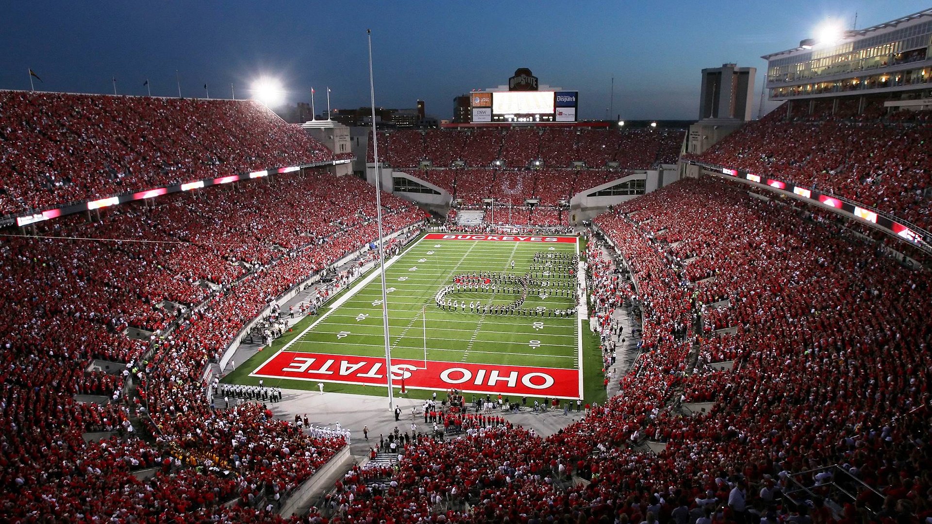 本土球员职业道路多元性不足