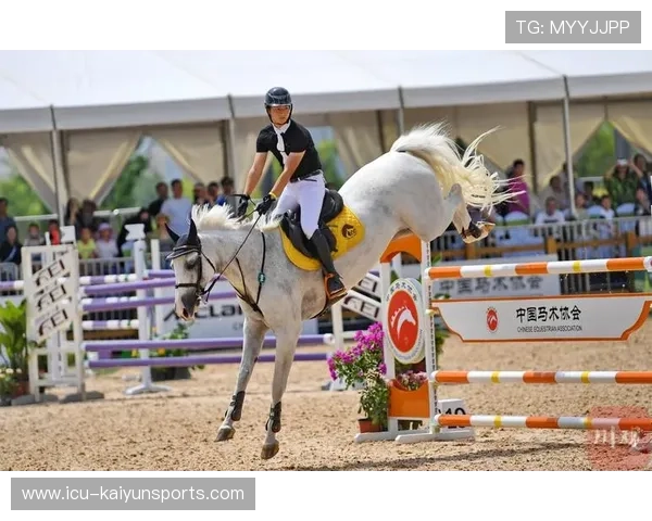 西班牙青少年骑手在美洲青少年马术锦标赛中表现出色，获得多项奖项。